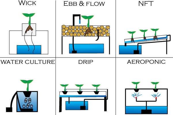 Different Types Of Hydroponic Systems | No Soil Solutions