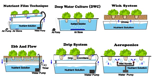 6 Different Types Of Hydroponic vertical farming Systems 