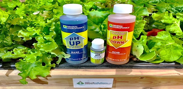 How to Adjust pH Of Hydroponic Nutrient Solution - NoSoilSolutions