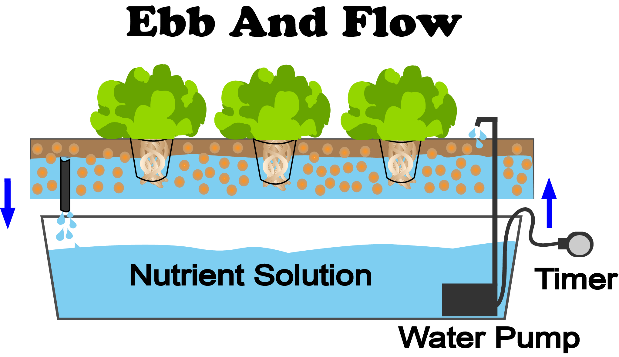 What Is Ebb And Flow Hydroponics Nosoilsolutions