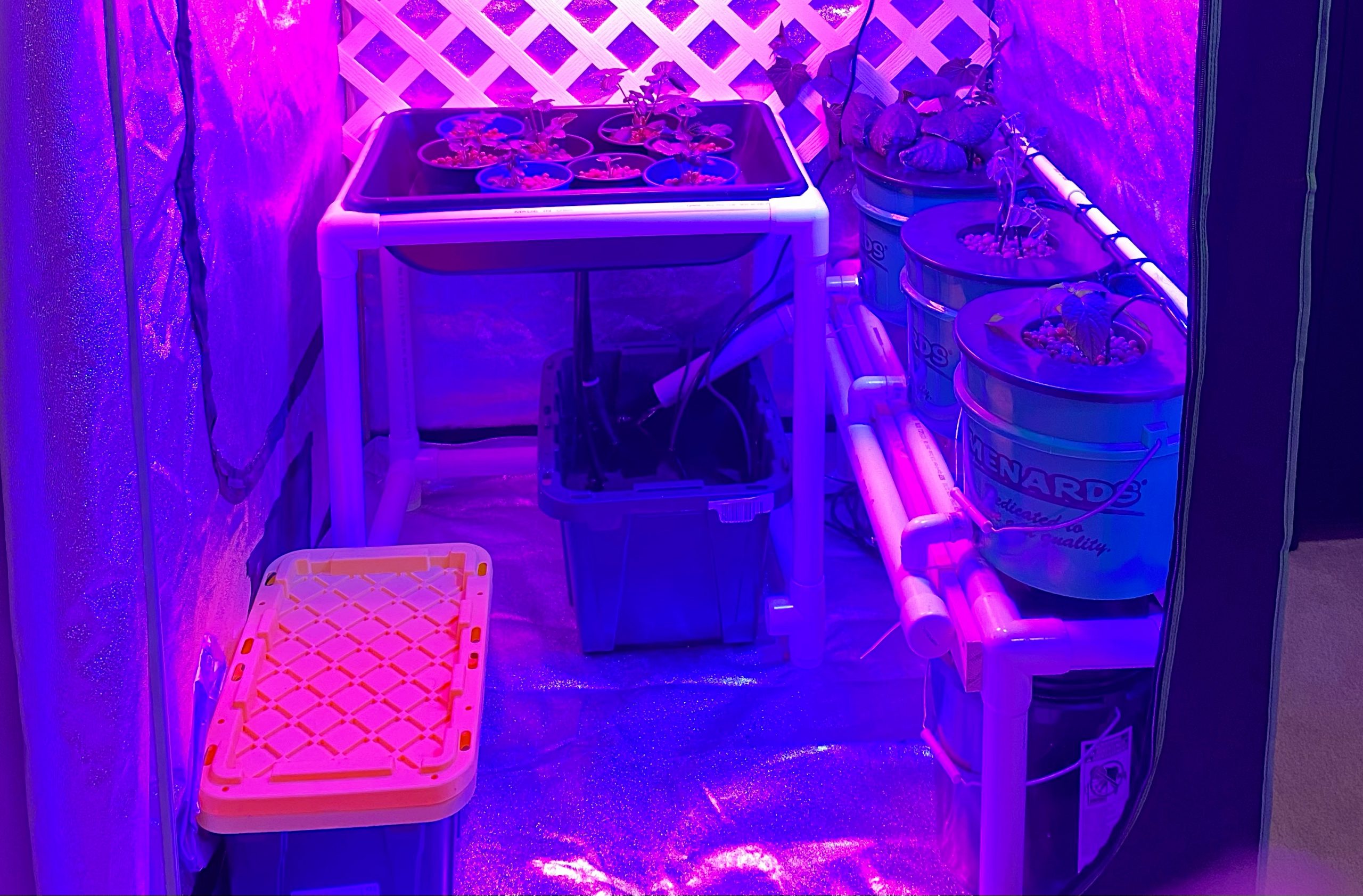 kop bryst uudgrundelig Everything You Need For A Hydroponic Grow Tent Setup - NoSoilSolutions